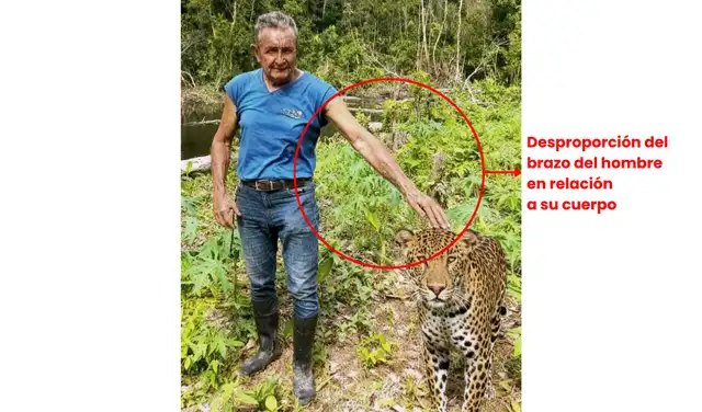 Inconsistencias en otra de las imágenes viralizadas. Foto: Redes sociales