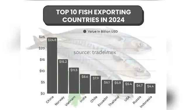 El top 10 de los principales exportadores de pescado en 2024-2025. Foto: TradeImeX