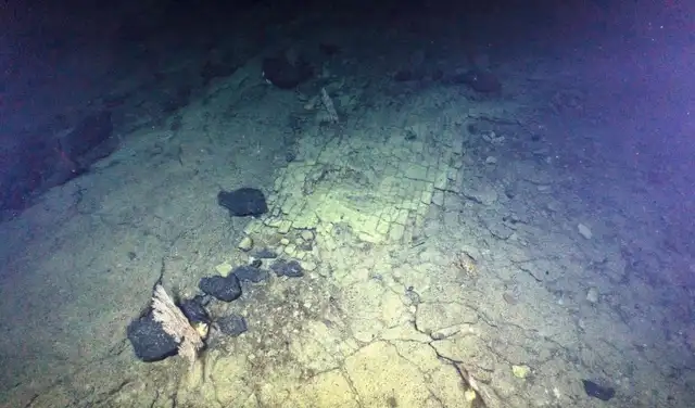 Los investigadores consideraron muy inusual el descubrimiento de un 