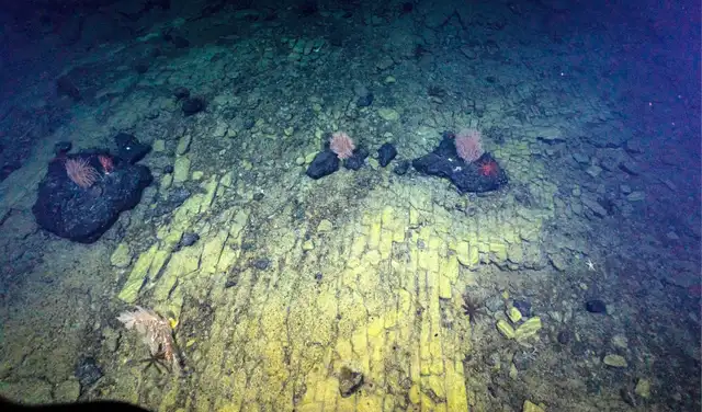 La formación es un ejemplo de geología volcánica activa antigua. Foto: Foto: The Ocean Exploration Trust/ EV Nautilus/ YouTube