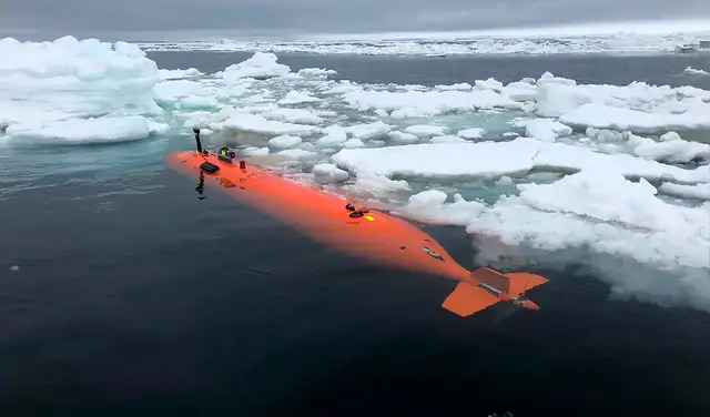 Los submarinos Ran contribuyen a generar nuevos conocimientos sobre los glaciares en la Antártida. Foto: Anna Wåhlin/Universidad de Gotemburgo.
