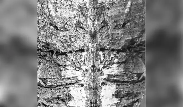 "Tres caras". Imagen: Difusión. "Tres caras". Imagen: Difusión.