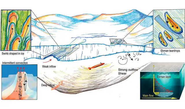 Ilustración de los procesos descritos en el artículo sobre la plataforma de hielo Dotson. Foto: Science Advances Ilustración de los procesos descritos en el artículo sobre la plataforma de hielo Dotson. Foto: Science Advances