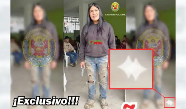 La imagen fue generada mediante Gemini, la inteligencia artificial de Google.