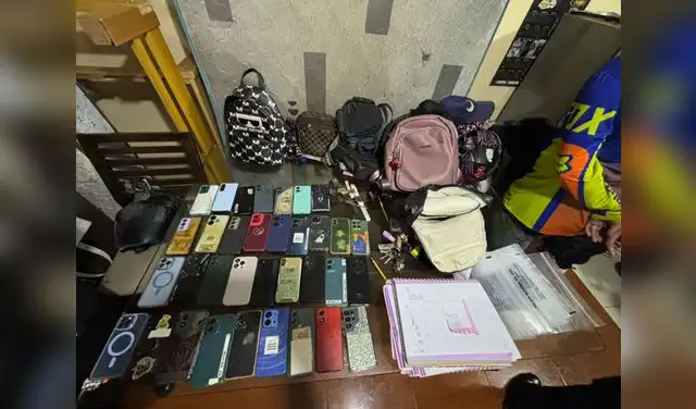 Material incautado durante la intervención