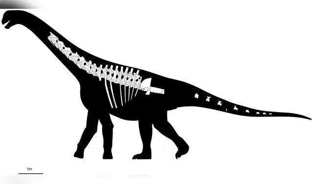 Reconstrucción esquelética del dinosaurio con los elementos conservados. Foto: PeerJ
