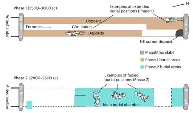Diagrama que ilustra la disposición de la tumba de Bury y las dos fases del entierro. Foto: Seershom/ Nature