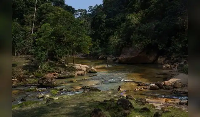 Las aguas termales de Aguas Calientes Maquia se extienden por cinco kilométros
