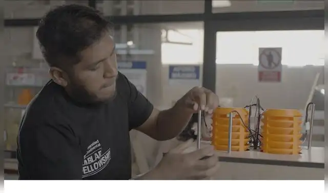 Conoce cómo funciona la 