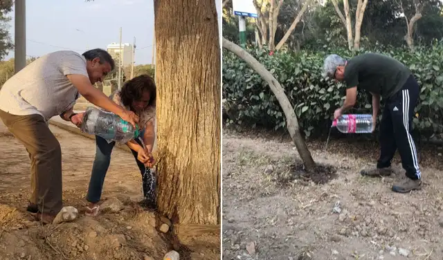 Residentes de Jesús María alertan sobre estrés hídrico en árboles durante obras en el parque
