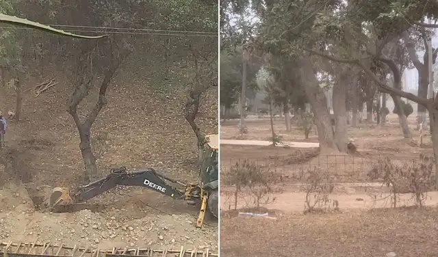 Residentes de Jesús María alertan sobre estrés hídrico en árboles durante obras en el parque