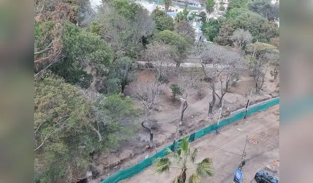 Residentes de Jesús María alertan sobre estrés hídrico en árboles durante obras en el parque