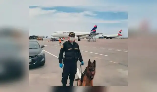 Can fue parte de la Policía del aeropuerto en Lima durante casi una década