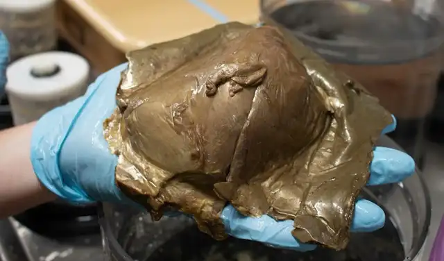 No resultó ser un huevo ni una esponja, sino algo secretado por una anémona. Foto: NOAA Fisheries