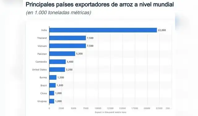 Top 10 de países exportadores de arroz en el mundo. Foto: Statista Top 10 de países exportadores de arroz en el mundo. Foto: Statista