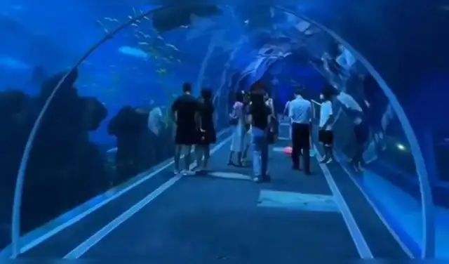 El Shanghai Ocean Aquarium se abrió oficialmente al público en febrero de 2002. Foto: CDN