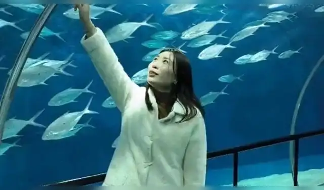 La atracción principal consiste en un conducto bajo el agua con 155 metros de longitud total. Foto: CDN