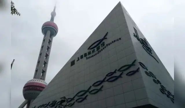 El diseño arquitectónico del acuario chino resalta mediante estructuras piramidales modernas. Foto: CDN