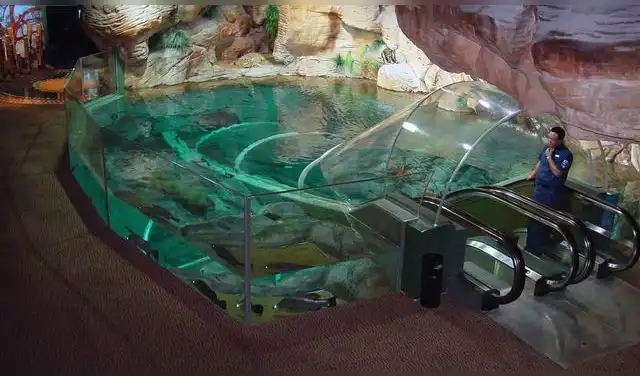 El gigantesco túnel submarino es la atracción favorita de los turistas. Foto: Advanced Aquariums