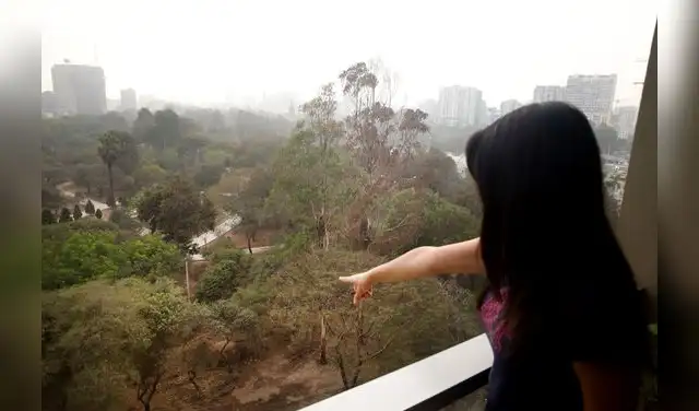 Vecinos denuncian deterioro de áreas verdes en remodelación del Campo de Marte en Lima