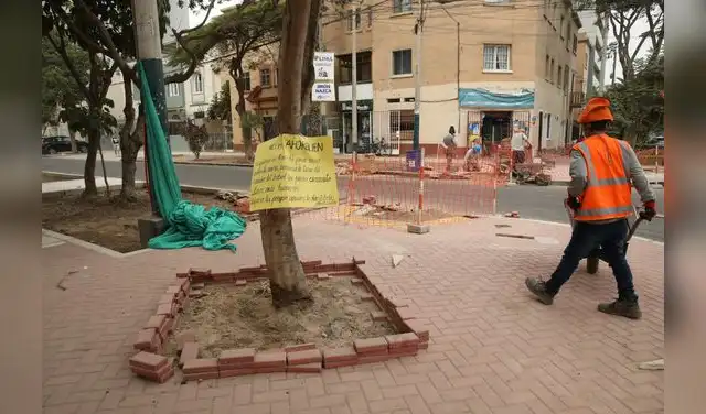 Vecinos denuncian deterioro de áreas verdes en remodelación del Campo de Marte en Lima