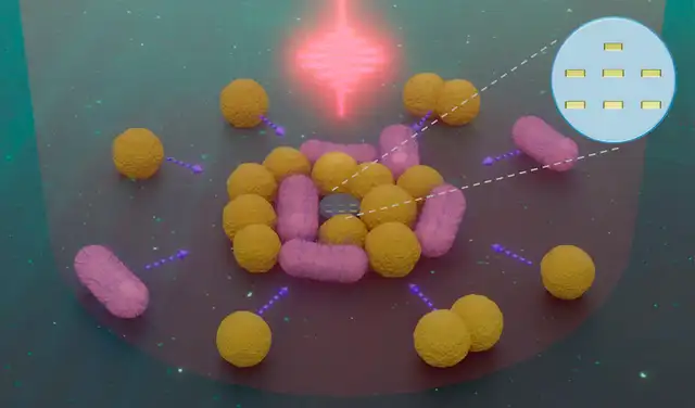 Vista artística de un nanorobot (centro y recuadro) interactuando con varias bacterias de dos tipos distintos. Foto: Jin Qin
