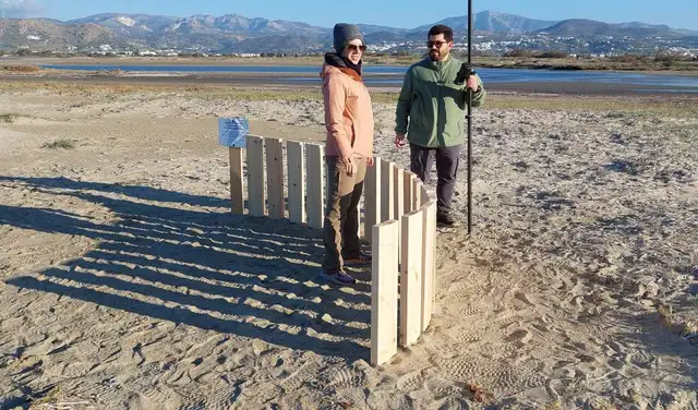 Las dunas artificiales pueden funcionar como una 