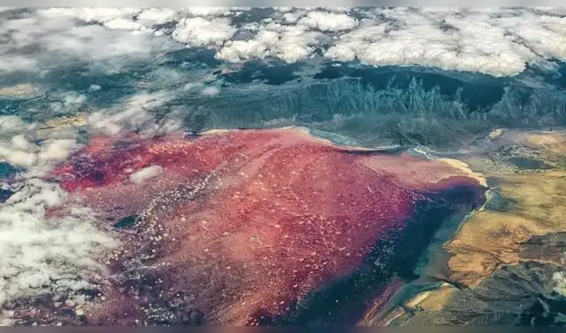 Las aguas del Lago Natron contiene sustancias que elevan la alcalinidad hasta un pH superior a 10. Foto: Viajes a Tanzania