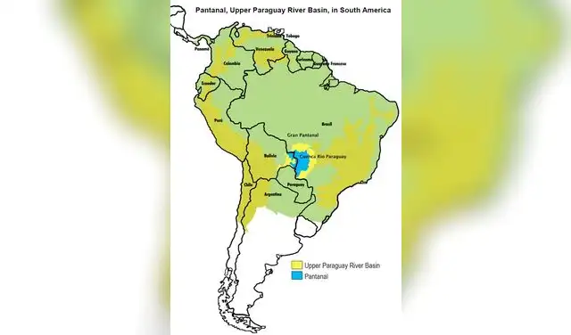 El Gran Pantanal se extiende por Brasil, Bolivia y Paraguay. Foto: WWF El Gran Pantanal se extiende por Brasil, Bolivia y Paraguay. Foto: WWF