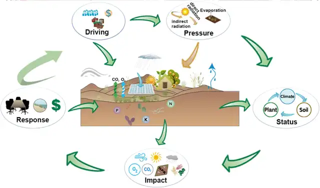 Efectos ecológicos y ambientales de la instalación de paneles solares a gran escala en zonas desérticas. Foto: Nature