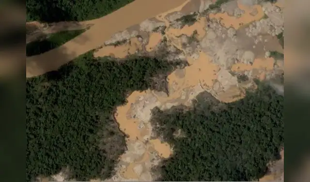 Deforestación y actividad minera ilegal aumentan en Tambopata, según monitoreo satelital