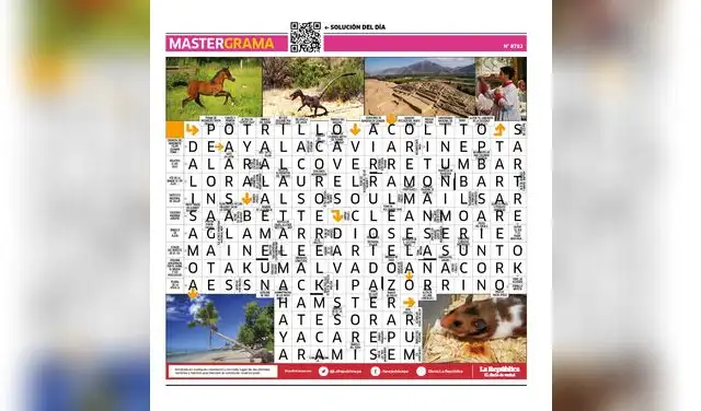 Mastergrama N°8702