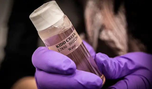 La muestra obtenida por los científicos albergaba un ecosistema de microorganismos. Foto: Universidad de Toronto