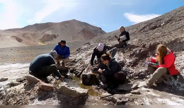 El hallazgo surge en un contexto global enfocado en la búsqueda de fuentes de energías renovables de bajo carbono. Foto: CONICET