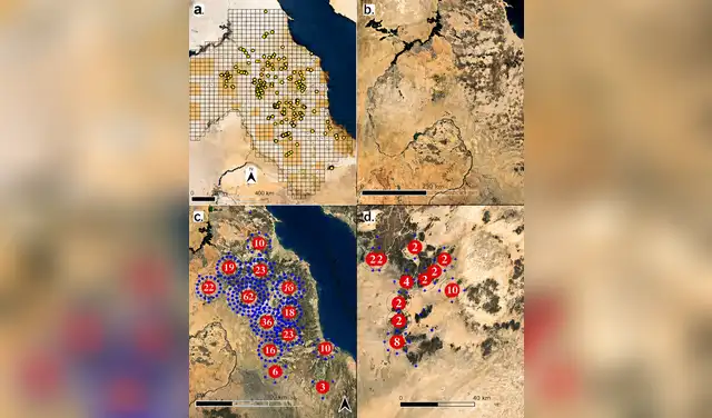 El hallazgo arqueológico inició mediante proyectos de teledetección con imágenes satelitales. Foto: National Geographic/mejorada con IA El hallazgo arqueológico inició mediante proyectos de teledetección con imágenes satelitales. Foto: National Geographic/mejorada con IA
