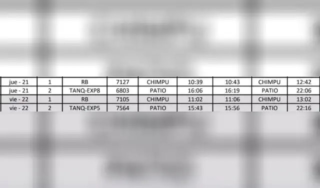 Choferes aseguran que, en ocasiones, las horas de manejo seguido son de 6 horas