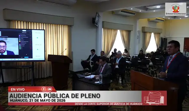 Audiencia Pública de Pleno, 21 de mayo de 2026. Fuente: Tribunal Constitucional Audiencia Pública de Pleno, 21 de mayo de 2026. Fuente: Tribunal Constitucional