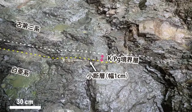 En esta imagen se puede observar la capa geológica que marca el límite K-Pg entre los períodos Cretácico y Paleógeno. Foto: Universidad de Tohoku