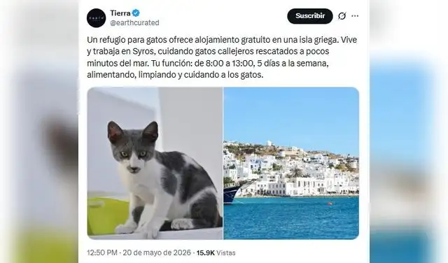 La oferta de voluntariado en Grecia ha sido compartida en redes sociales. Foto: @earthcurated/X La oferta de voluntariado en Grecia ha sido compartida en redes sociales. Foto: @earthcurated/X