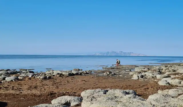 Investigadores recolectaron especímenes de nematodos en el Gran Lago Salado de Utah. Foto: Julie Jung