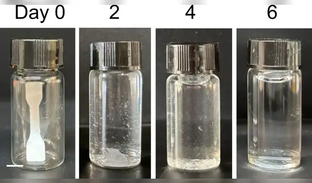 Un plástico biológico con un par de enzimas que degradan el plástico lo degradó por completo en seis días. Foto: Adaptado de ACS Applied Polymer Materials