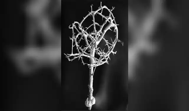 "Duncan. Árbol muerto caído". Foto: Roberto Huarcaya.  