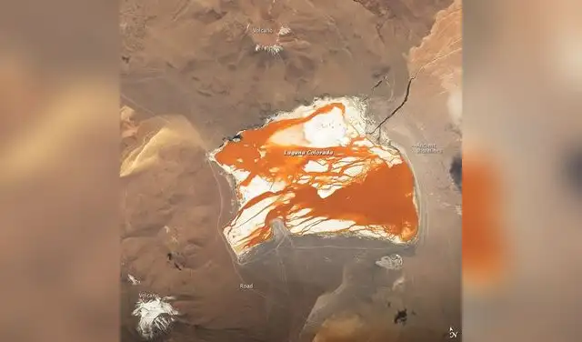 La NASA comparte una impactante imagen de la Laguna Colorada desde la Estación Espacial Internacional. Foto: NASA