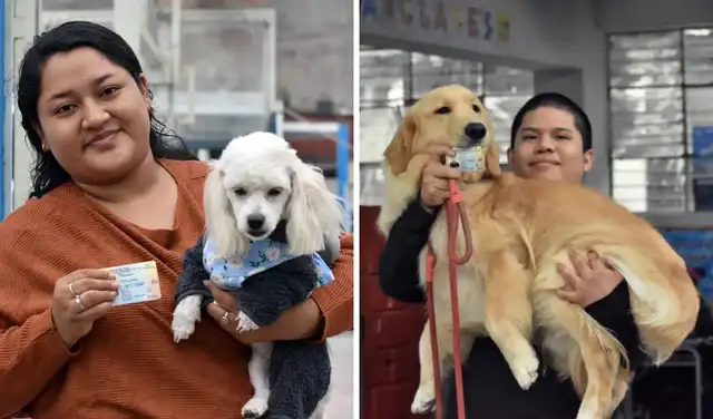 Mascotas acompañaron a sus dueños durante jornada electoral
