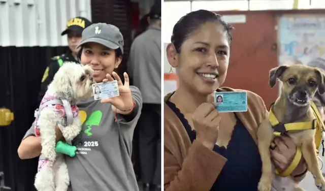 Mascotas acompañaron a sus dueños durante jornada electoral