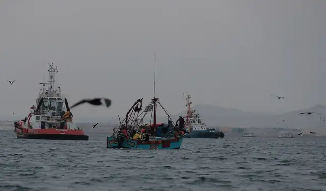 Embarcaciones artesanales realizan faenas en la bahía de Paracas. Pescadores de la zona afirman que cada vez deben recorrer mayores distancias para encontrar recursos marinos. Foto: Marco Cotrina / La República Embarcaciones artesanales realizan faenas en la bahía de Paracas. Pescadores de la zona afirman que cada vez deben recorrer mayores distancias para encontrar recursos marinos. Foto: Marco Cotrina / La República
