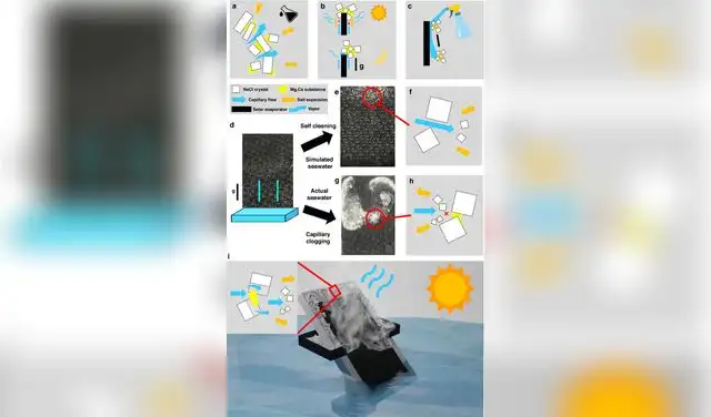 Cristalizador interfacial solar-térmico de agua de mar real basado en superficies metálicas negras de gran capacidad de absorción. Cristalizador interfacial solar-térmico de agua de mar real basado en superficies metálicas negras de gran capacidad de absorción.