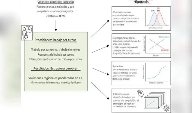 Diagrama conceptual que resume las hipótesis del estudio y el marco analítico.