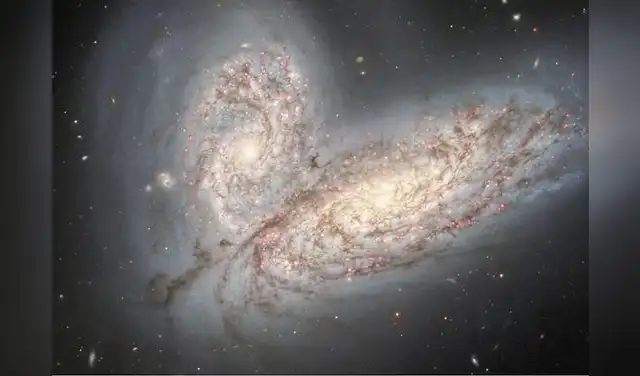Las galaxias NGC 4567 y 4568 se fusionan en un proceso idéntico al que vivió la Vía Láctea hace 11 000 millones de años. Foto: Gemini/NOIRLab Las galaxias NGC 4567 y 4568 se fusionan en un proceso idéntico al que vivió la Vía Láctea hace 11 000 millones de años. Foto: Gemini/NOIRLab