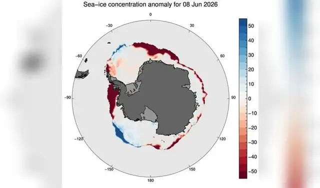 Satélites del NSIDC revelan que el mar de Bellingshausen en la Antártida perdió el 50% de su hielo marino invernal. Foto: Phil Reid/Oficina de Meteorología/Centro Nacional de Datos de Nieve y Hielo